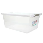 Clear Storage Bin