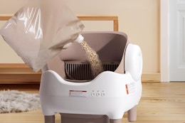 cat litter box being filled with litter