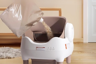 cat litter box being filled with litter