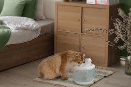 2.2-Liter Cat Water Fountain With Wireless Pump, Only $36 on Amazon card image