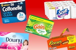 Amazon Household Essentials Oct 18