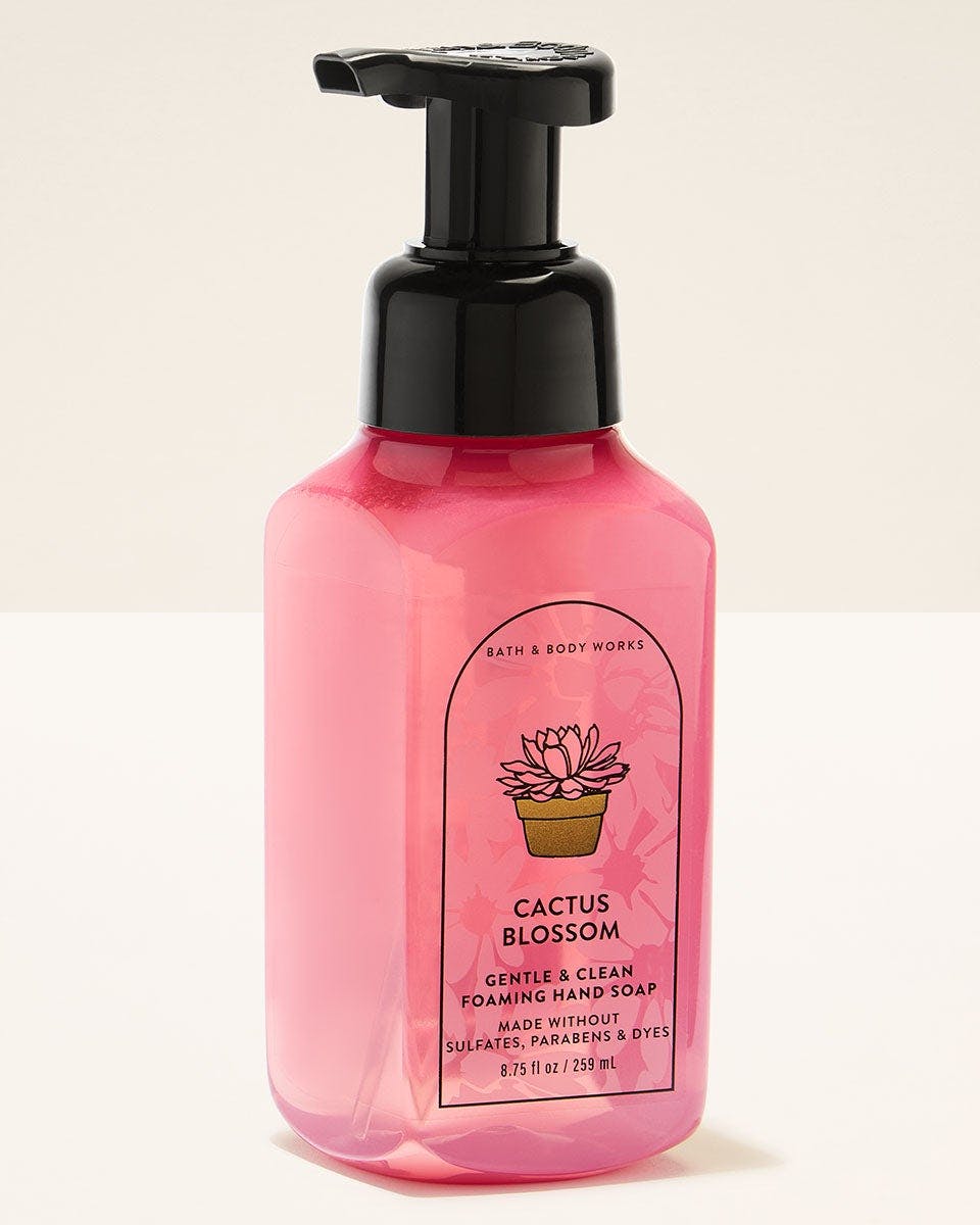 Bath & Body Works Foaming Hand Soap