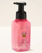 Bath & Body Works Foaming Hand Soap