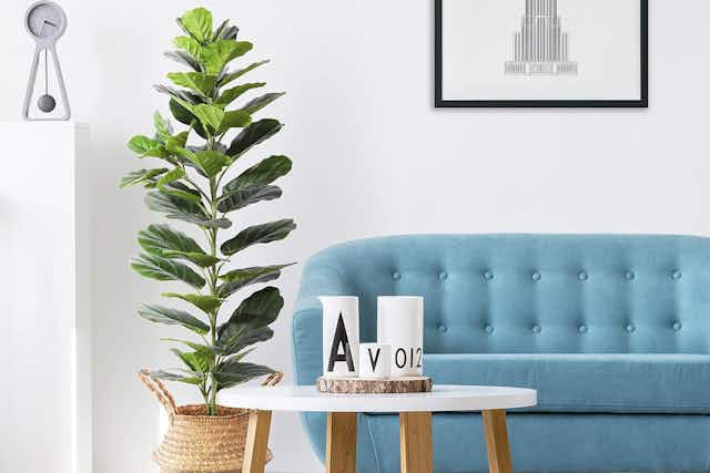 Artificial Fiddle Leaf Plant 2-Pack, Only $59.99 With Amazon Promo Code card image