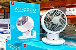 Woozoo Globe Fan Returns to Costco for Just $38.99 card image