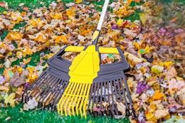 Expert Gardener 3-in-1 Leaf Rake, Only $15 at Walmart (Reg. $30) card image