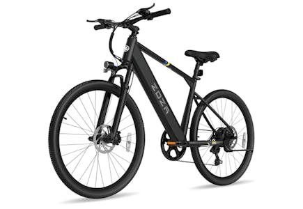 Adult Electric Bike
