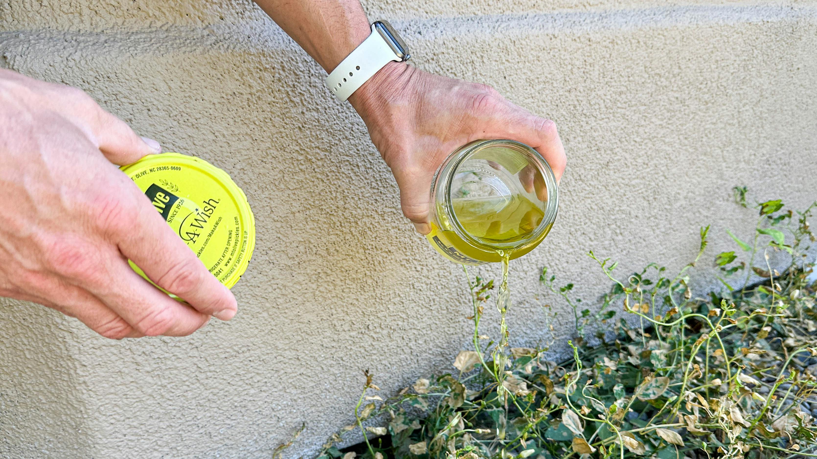 15 Ridiculously Amazing Ways to Use Kitchen Leftovers