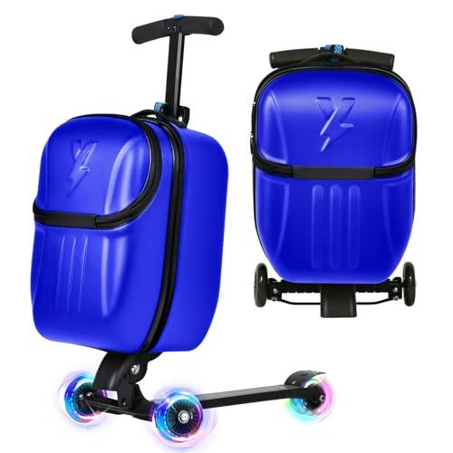 Scooter Luggage