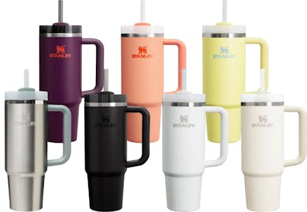 Stanley Quencher FlowState Tumbler