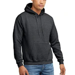 Hanes Men's EcoSmart Hoodie