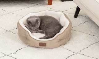 screen shot 2023 05 30 at 103304 am 1685460811 1685460811