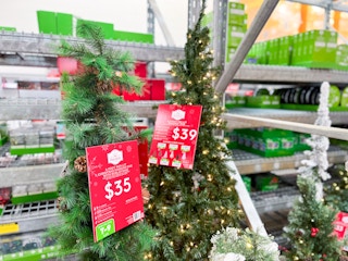 Holiday Time Christmas trees with a red $35 and $39 price tag hanging on them