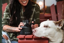 Stanley Tough-To-Tip Admiral's Mug B08F2WMW43