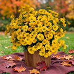 Artificial Daisy Mums
