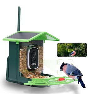 Bird Feeder with Camera