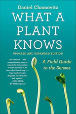 What a Plant Knows