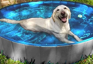 amazon jasonwell pool df 2023 1 1683043333 1683043333