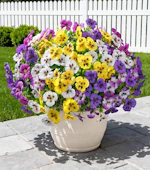 Artificial Pansy Flowers