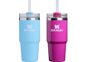 Stanley Winter Wonderland Tumbler