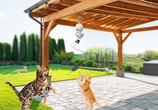 Amazon Interactive Laser Cat Toy 2025 2