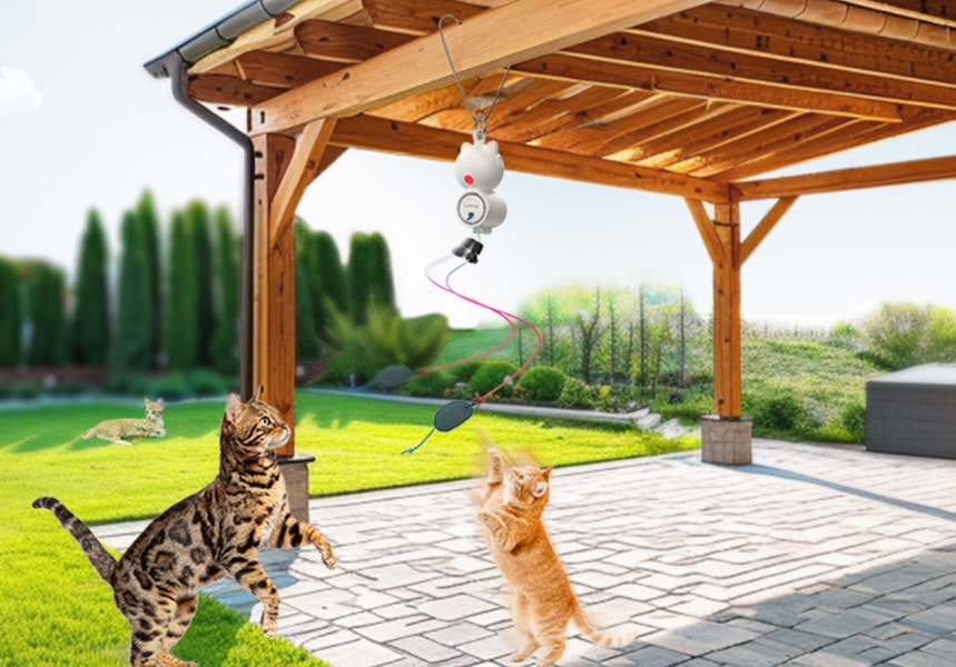 Amazon Interactive Laser Cat Toy 2025 2