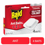 Raid Ant Baits