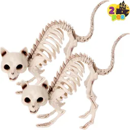 Cat Skeleton 2-Pack