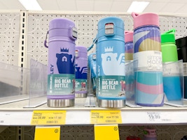 Stanley Big Bear Bottle