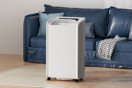 This $240 Large Room Dehumidifier Is Now $120 on Amazon card image