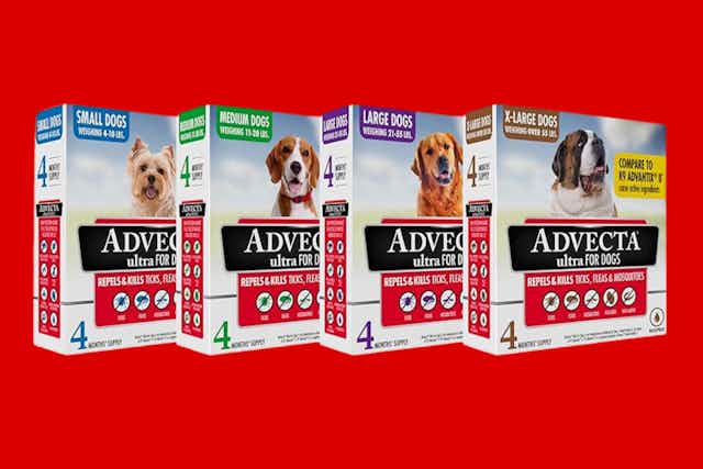 Advecta Ultra Flea and Tick Prevention for Dogs, as Low as $16.23 on Amazon card image
