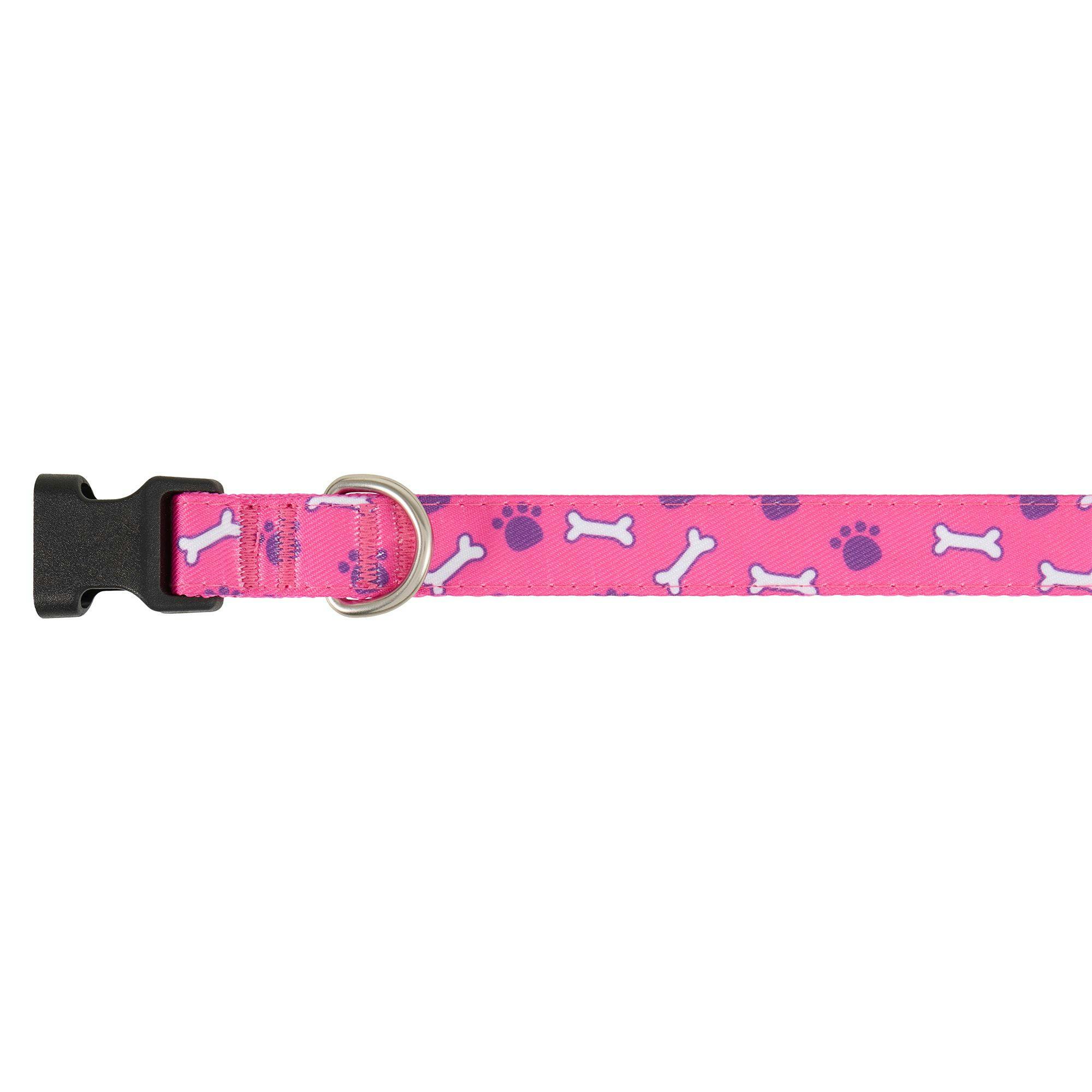 Dog Collar