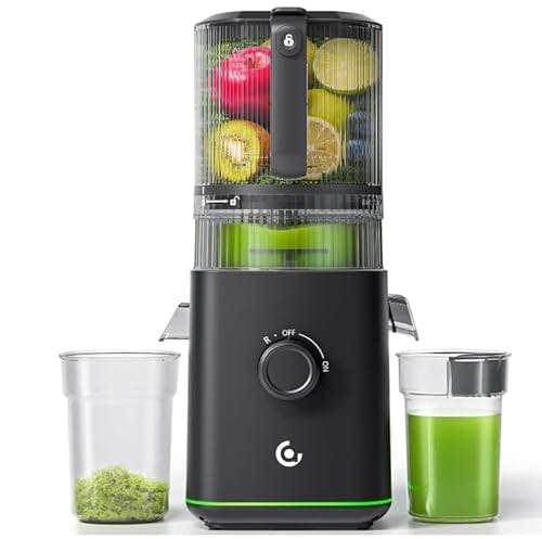 Cold Press Juicer