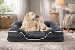 Walmart orthopedic dog bed