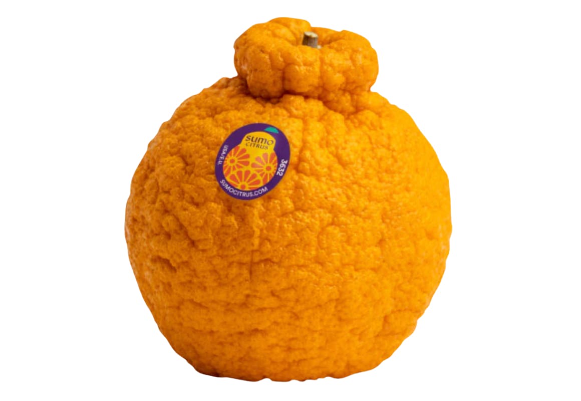Kroger Sumo Citrus Orange