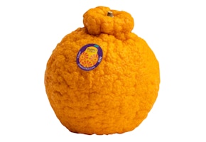 Kroger Sumo Citrus Orange