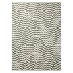 Indoor/Outdoor Area Rug