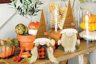 Fall Gnome Decor