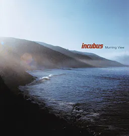 Incubus: Morning View Vinyl