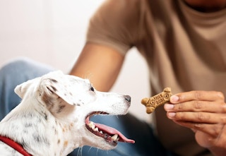 amazon-milk-bone-df-2024-1