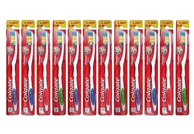 Colgate Toothbrush 24-Pack