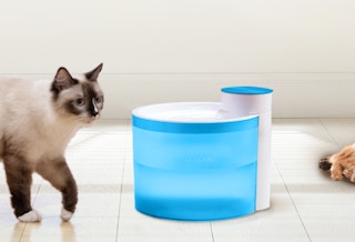 a cat walking next to a blue pet water fountain 