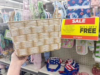 dollar general true living basket