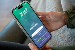 toluna surveys jan 7