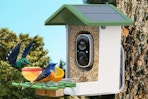 a smart bird feeder on a tree