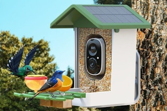 a smart bird feeder on a tree