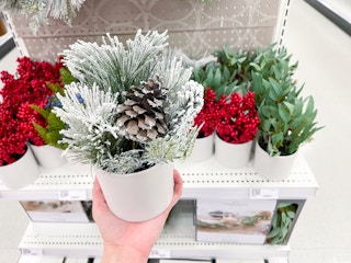 hand holding threshold christmas planter at target