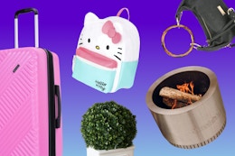 5 Walmart clearance deals: suitcase, Hello Kitty backpack, artificial plant, mini fire pit & purse