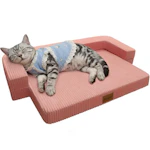 Orthopedic Dog Bed