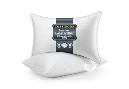 Goose Feather Pillow Set